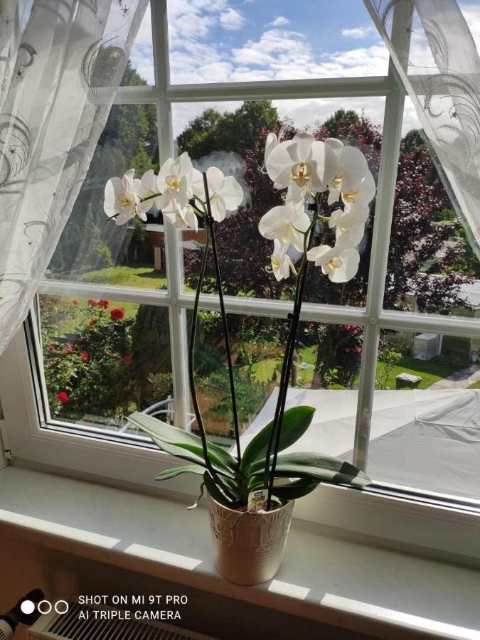 Blumen Apartment هامبورغ المظهر الخارجي الصورة